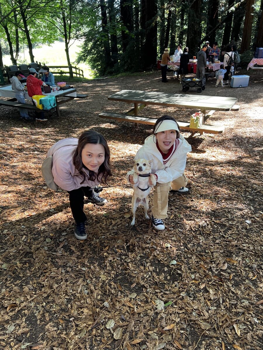본당 설립 기념 41주년 야외 미사(10.12) :가을 거리를 거닐며 박정은 수녀님 기고 글 <본당 협력 사목 수녀>