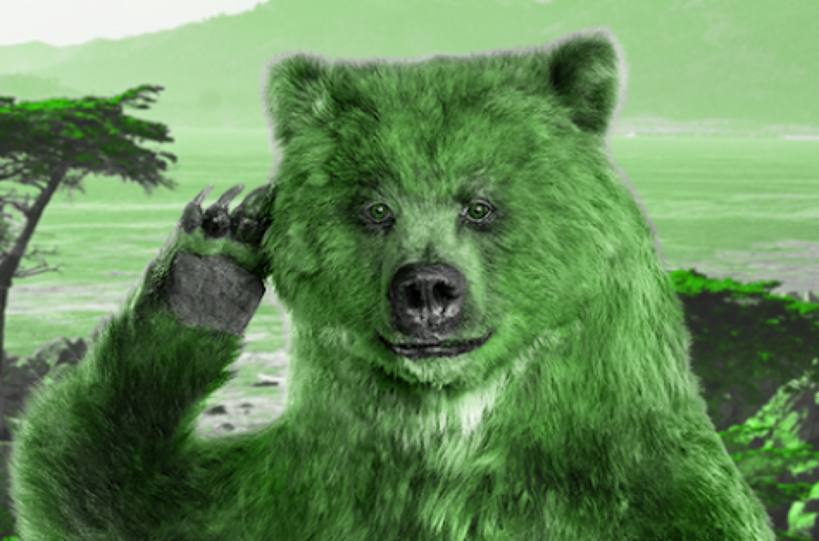 californiabear.png