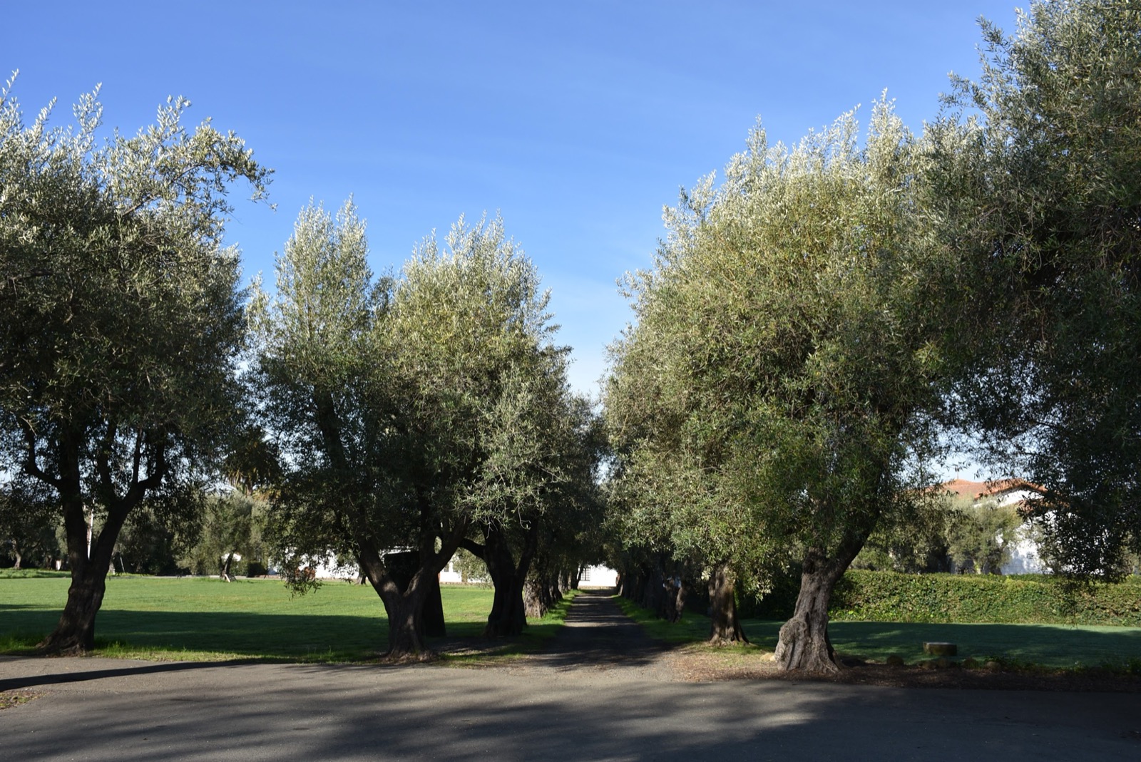 북가주 성령 쇄신 봉사회 일일 피정 Dominican Sisters of Mission San Jose  43326 Mission Circle Fremont 최기홍 바르톨로메오 신부