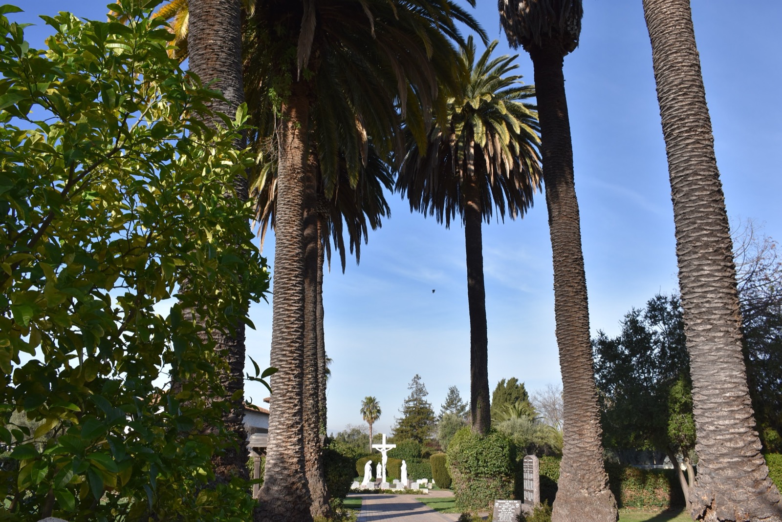 북가주 성령 쇄신 봉사회 일일 피정 Dominican Sisters of Mission San Jose  43326 Mission Circle Fremont 최기홍 바르톨로메오 신부