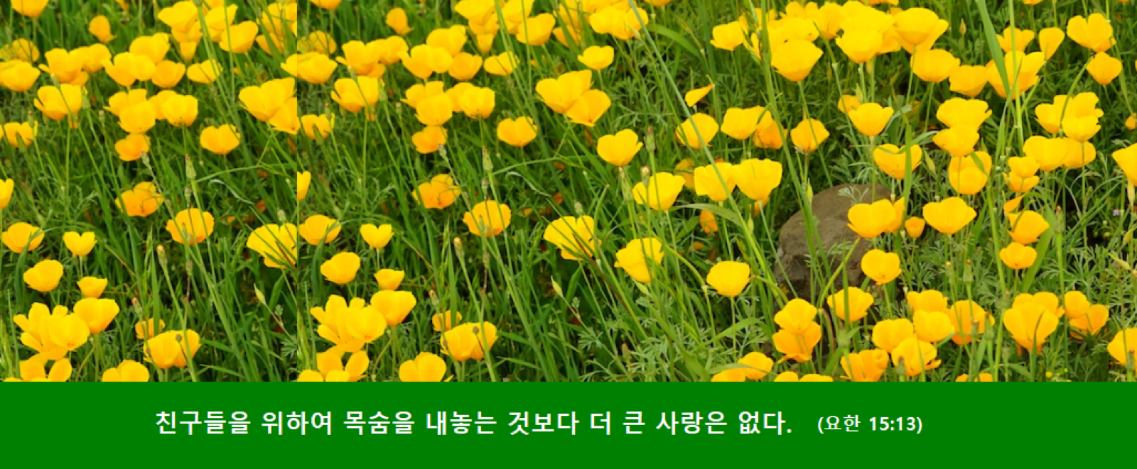 사랑은 원이다