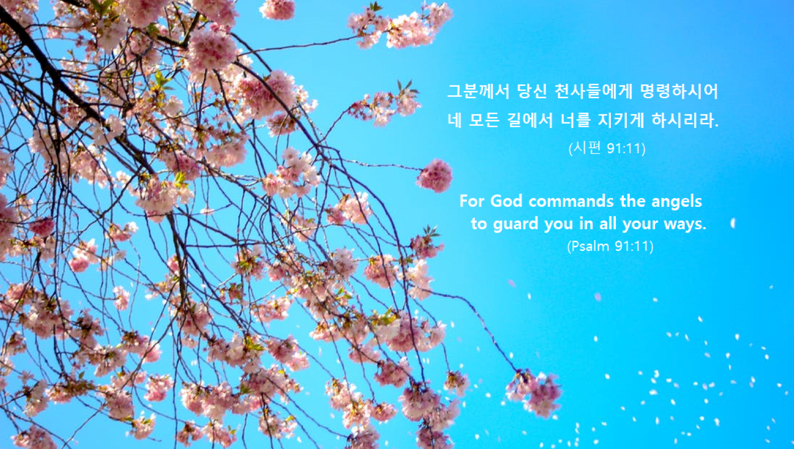 주여, 천사를 보내 우리를 구해주세요