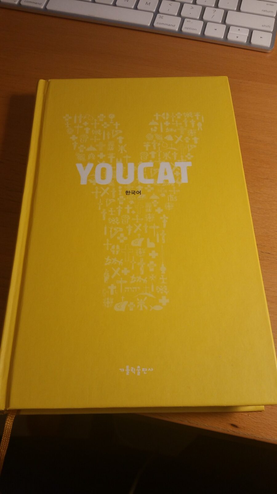 유켓 가톨릭 청년 교리서 Youcat
