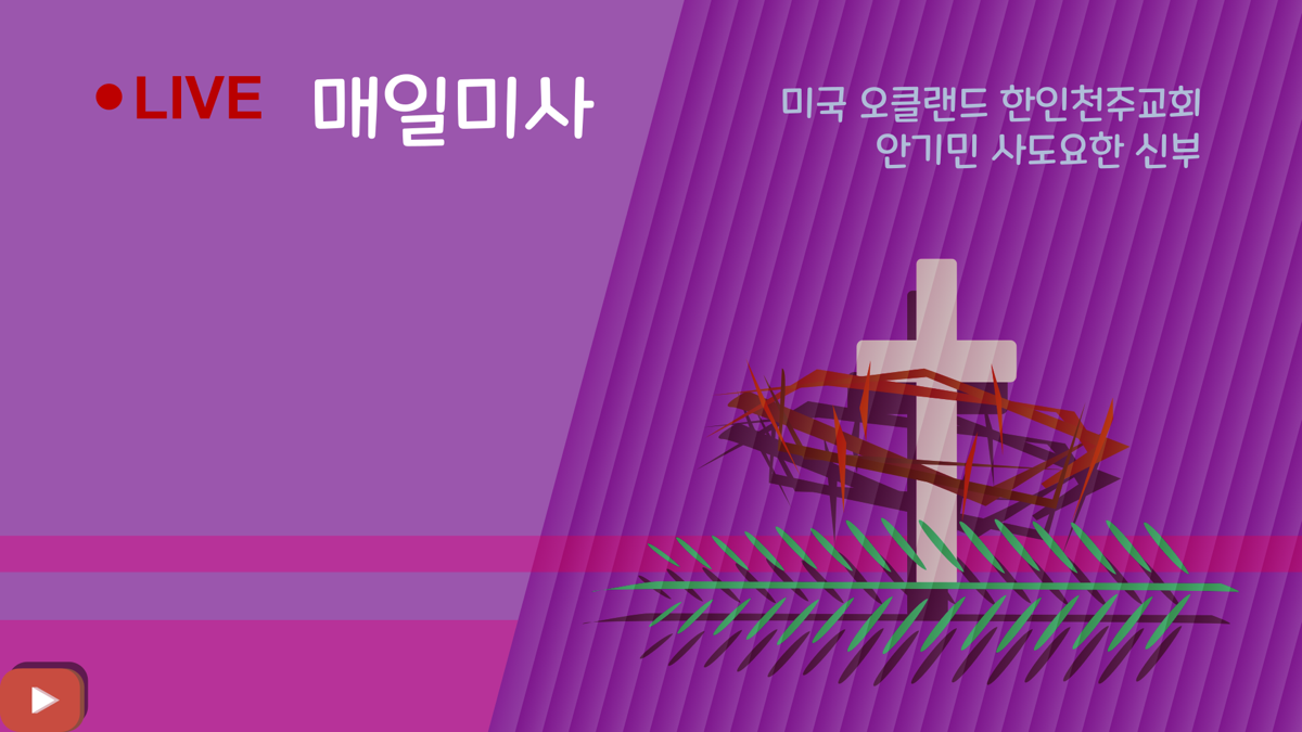 실시간 매일미사 (YouTube) 안기민 사도요한 신부