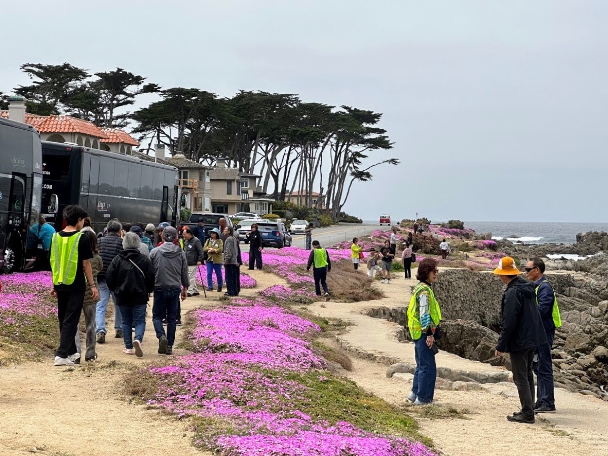 6월 황금빛 인생 - Monterey Bay: 2023년 6월 3일(토)